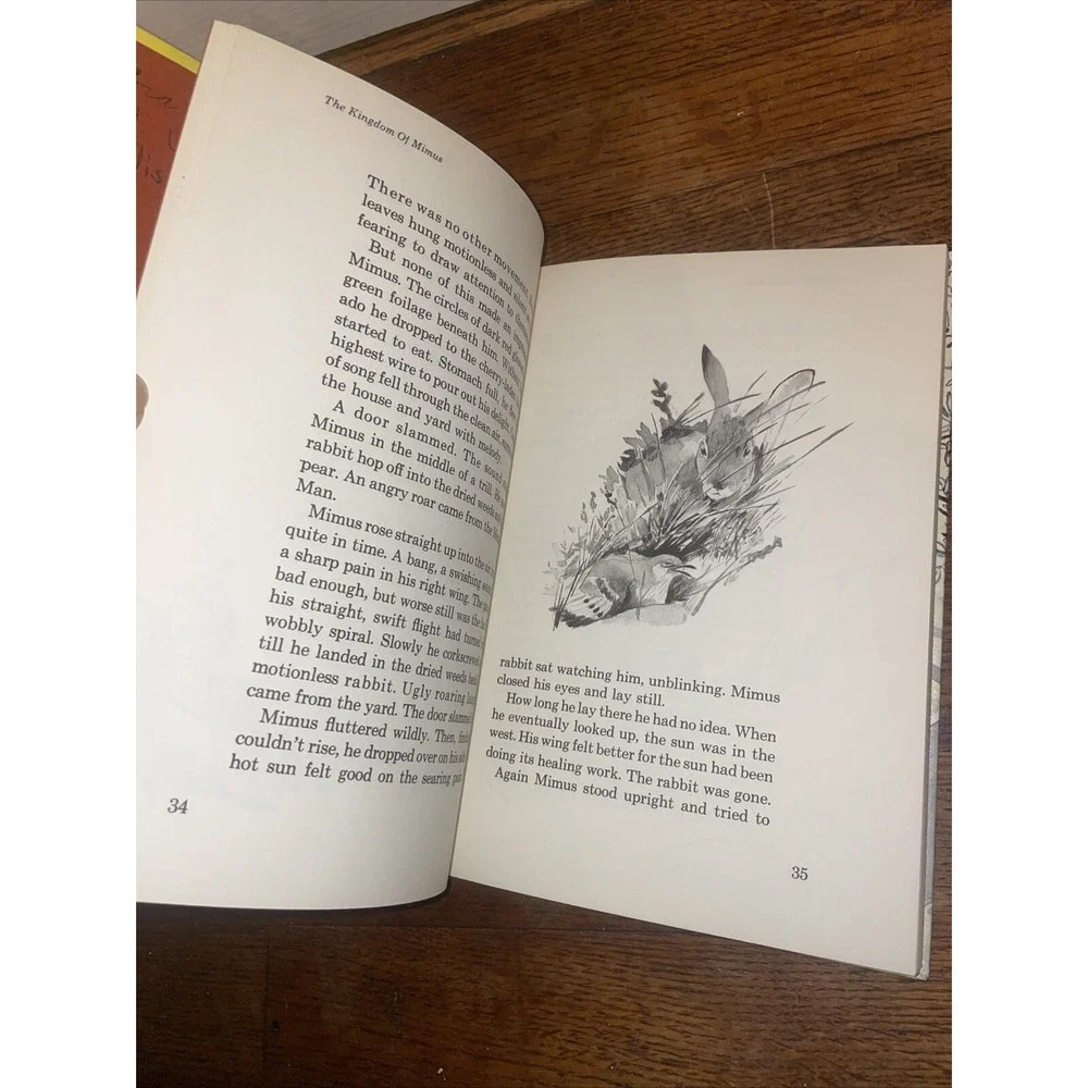 The Kingdom of Mimus:The Story of a Mockingbird by Marjorie Rankin‎ Steurt (1964
